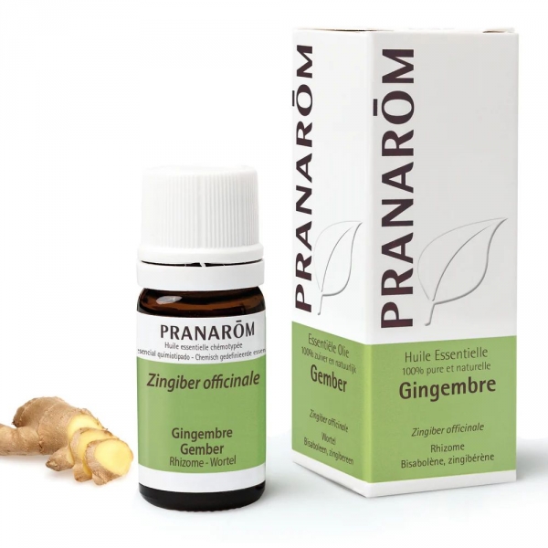 GINGEMBRE - Pranarom Huile Essentielle De Gingembre - Flacon 5ml 