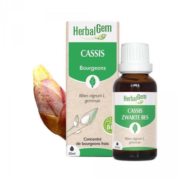 HERBALGEM Bourgeon de Cassis Bio - 30ml