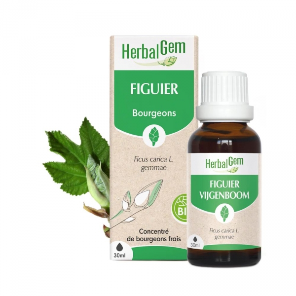 HERBALGEM Figuier de Cassis Bio - 30ml